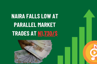 Naira falls low at parallel market trades at N1,730/$